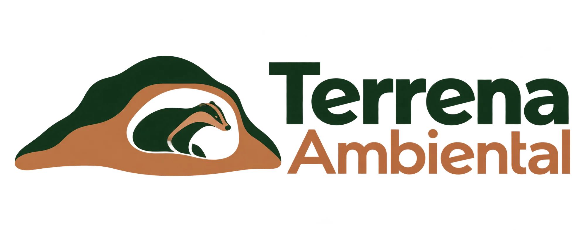 Estudo de logo: Terrena Ambiental