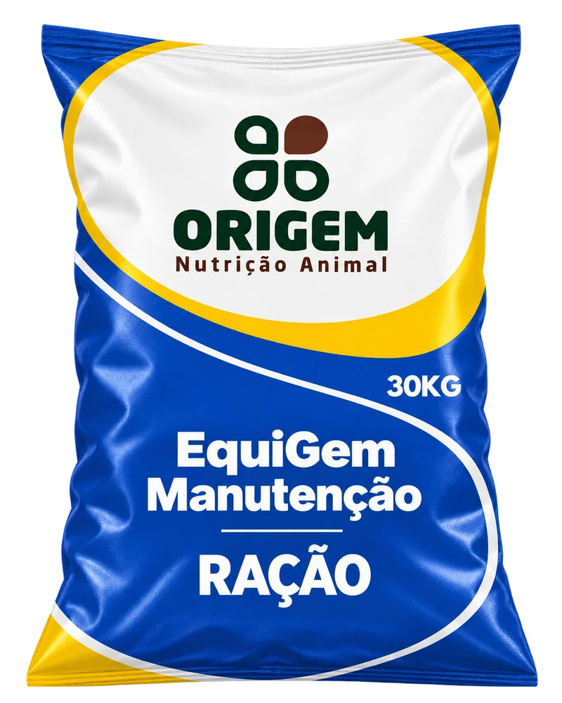 EquiGem Manutenção