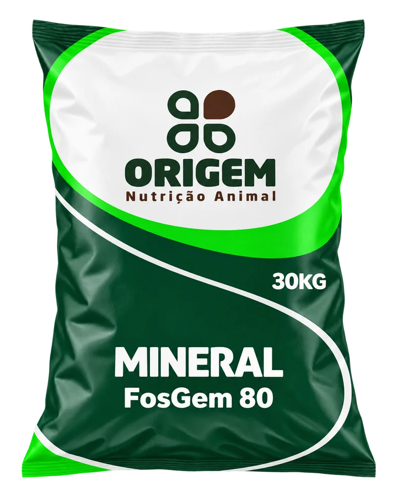 FosGem 80
