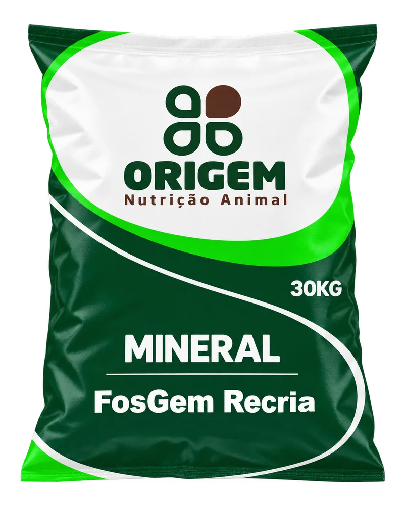 FosGem Recria