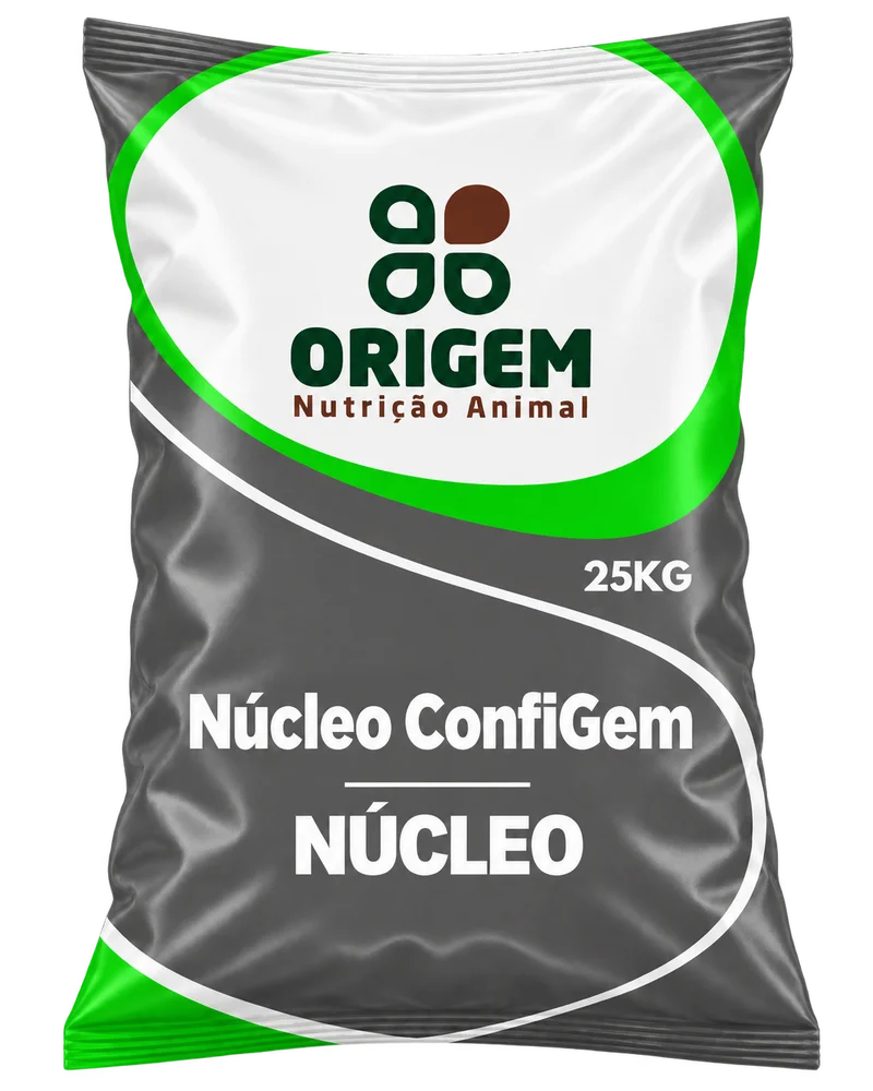 Núcleo ConfiGem